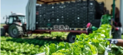 冷链供应链该如何打造