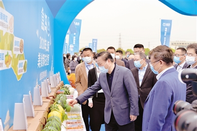 盒马产业基地落户航头镇投产年营收将超100亿
