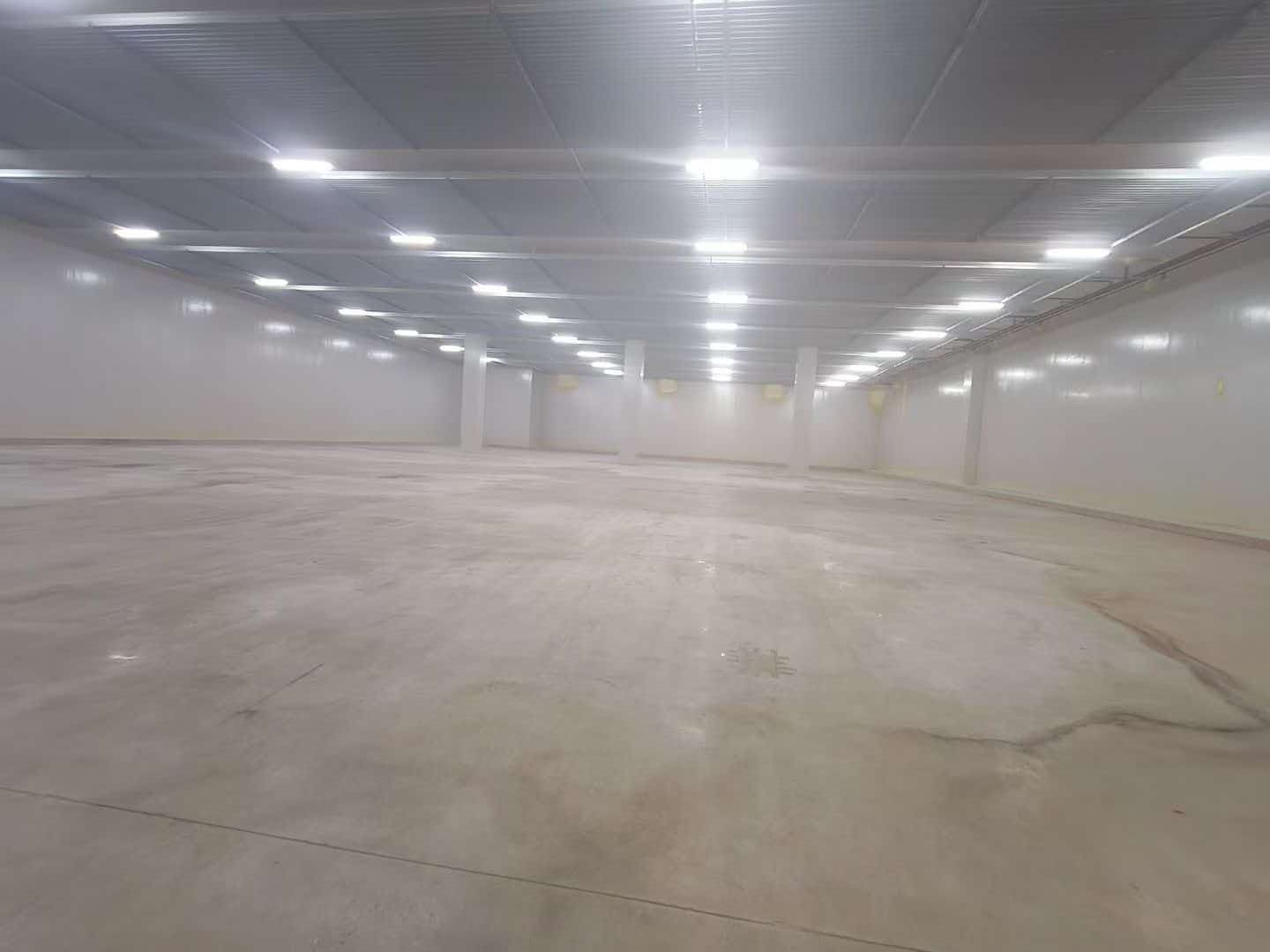 常州冷库出租 常州冷藏库出租 恒温库仓库出租8000平方米适合冷链