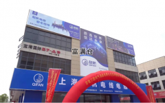 安徽龙头企业三阳电气设备有限公司盛大开业