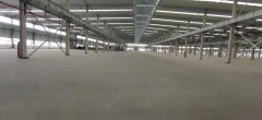 临港新片厂房出租54000平方米单层适合各类生产类