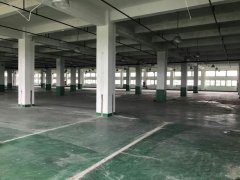浦东川沙工业园区双层厂房出租11000平带喷淋